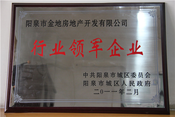 行(xíng)業(yè)領軍企業(yè)